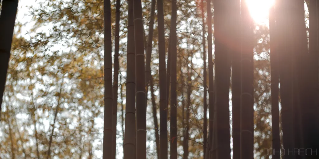 Ex Machina (Japan/Kamakura)